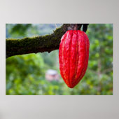 Poster cabosse rouge (Devant)