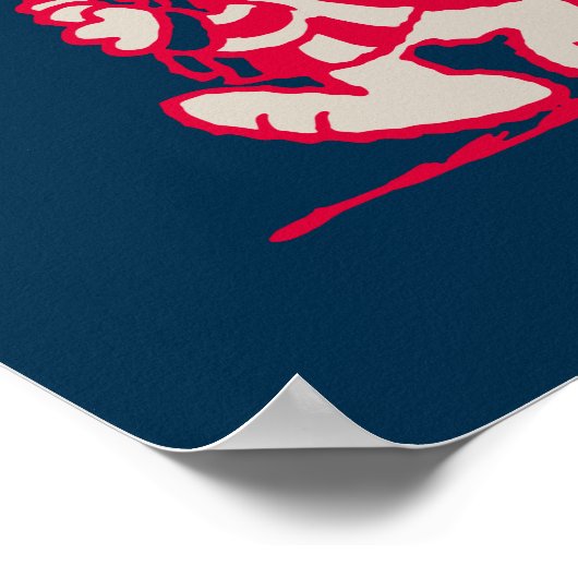 Poster cacahuètes | American Summer Old Glory (Coin)