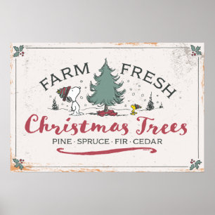 Poster cacahuètes   Arbres de Noël frais de ferme