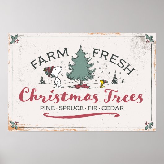 Poster cacahuètes | Arbres de Noël frais de ferme (Devant)