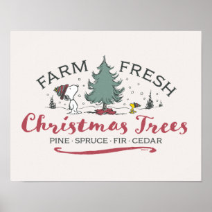 Poster cacahuètes   Arbres de Noël frais de ferme
