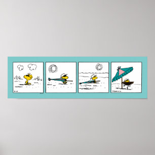 Poster cacahuètes   Bois de bois à la plage