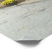 Poster cacahuètes bouillies VOUS VENEZ (Coin)