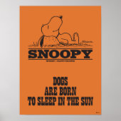 Poster cacahuètes | Snoopy Dormir dans le soleil (Devant)