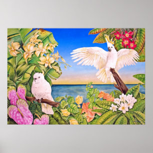 Poster cacatoès Sulfer-crêtés