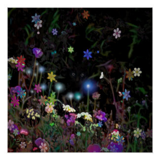 POSTER CACHAGE DU CHAT