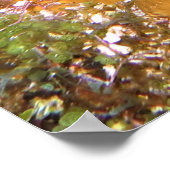 Poster Cachage du poisson scorpionique (Coin)