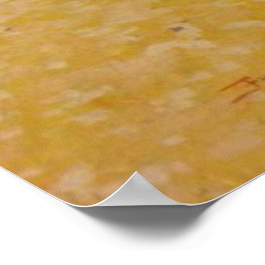 Poster Caché vers le bas (Coin)