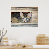 Poster Cacher et rechercher (Cuisine)