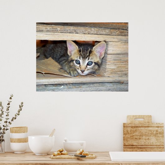 Poster Cacher et rechercher (Cuisine)