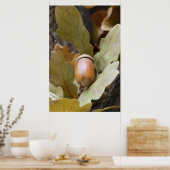Poster Cacorne de chêne (Cuisine)
