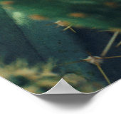 POSTER CACTI VERT (Coin)
