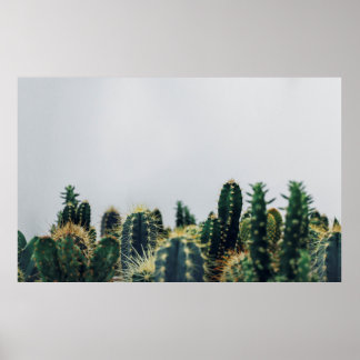 POSTER CACTI VERT