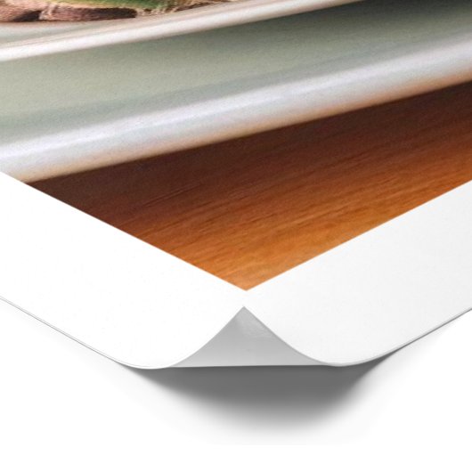 Poster Cactus (Coin)