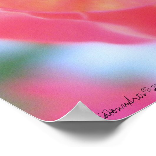 Poster Cactus (Coin)