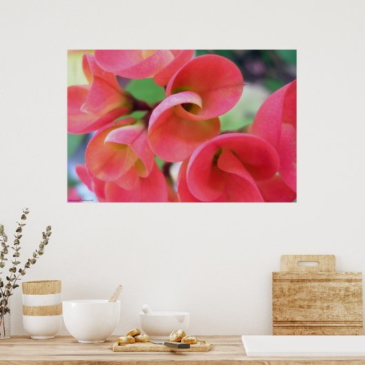 Poster Cactus (Cuisine)