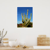 Poster Cactus (Cuisine)