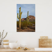 Poster Cactus (Cuisine)
