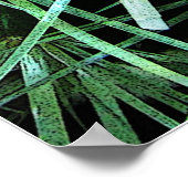 Poster Cactus (Coin)