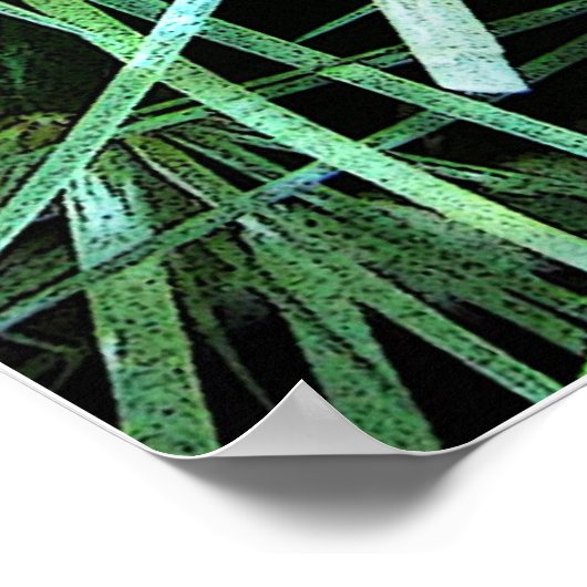 Poster Cactus (Coin)