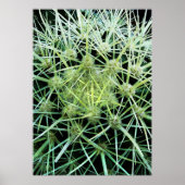 Poster Cactus (Devant)