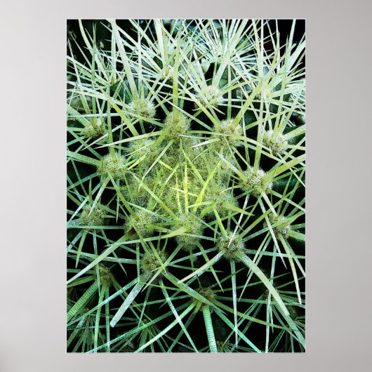 Poster Cactus (Devant)