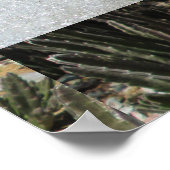 Poster Cactus (Coin)