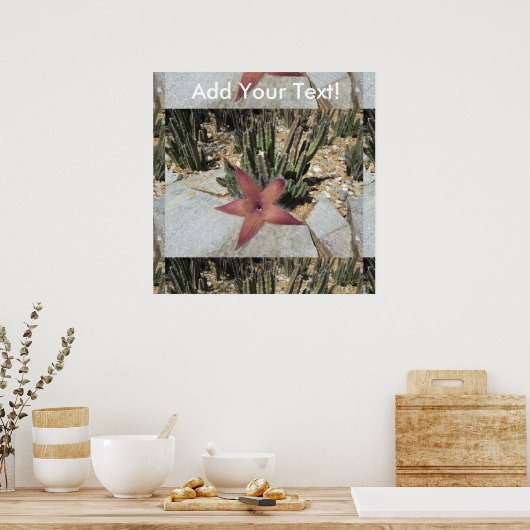 Poster Cactus (Cuisine)