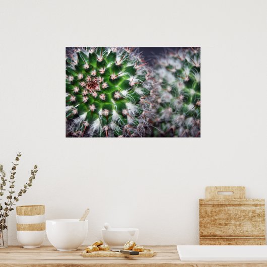 Poster cactus (Cuisine)