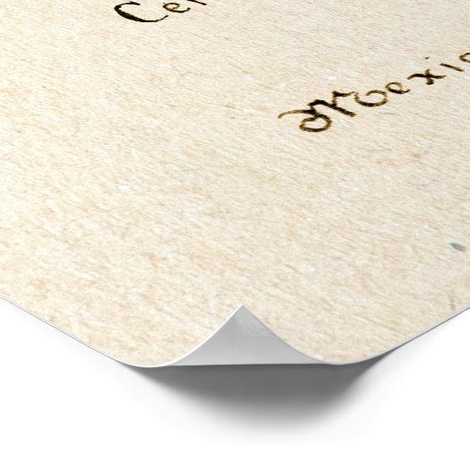 Poster Cactus 4 (Coin)