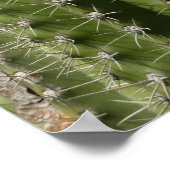 Poster Cactus à baril I Photo de désert (Coin)