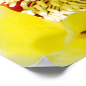 Poster Cactus à poires jaunes (Coin)