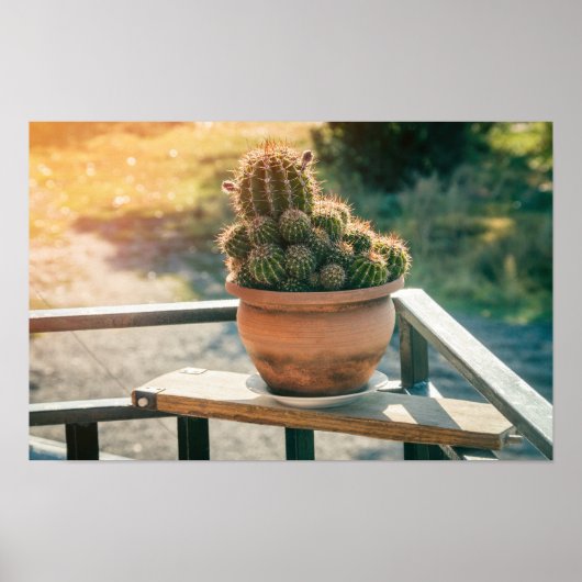 Poster Cactus au soleil (Devant)
