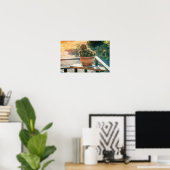 Poster Cactus au soleil (Bureau à domicile)