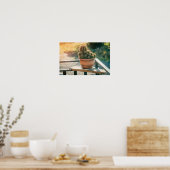 Poster Cactus au soleil (Cuisine)