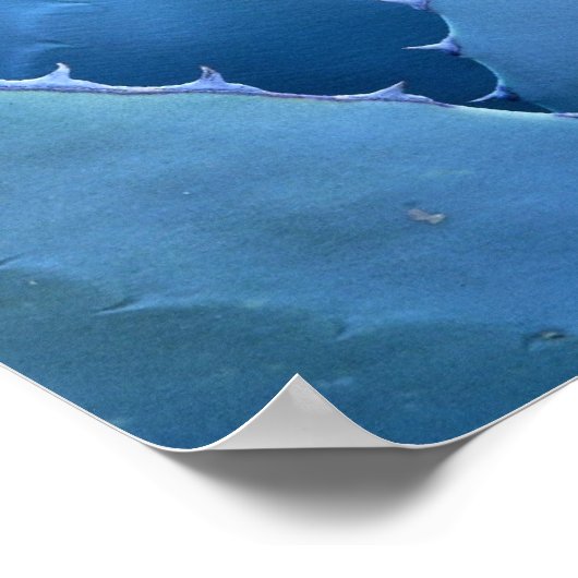 Poster Cactus bleu (Coin)