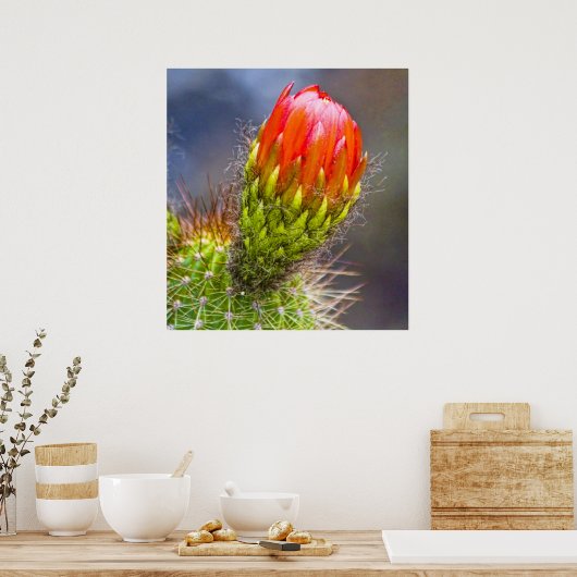 Poster Cactus Bloom (Cuisine)