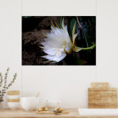 Poster Cactus Bloom (Cuisine)