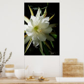 Poster Cactus Bloom (Cuisine)