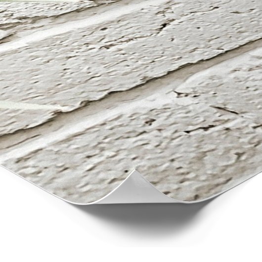 Poster Cactus candelabra vert (Coin)