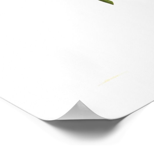 Poster Cactus Dahlias (Coin)