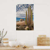 Poster Cactus Dans Le Désert Pittoresque (Cuisine)