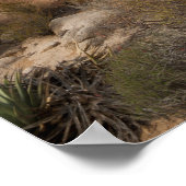 Poster Cactus dans un paysage désertique (Coin)