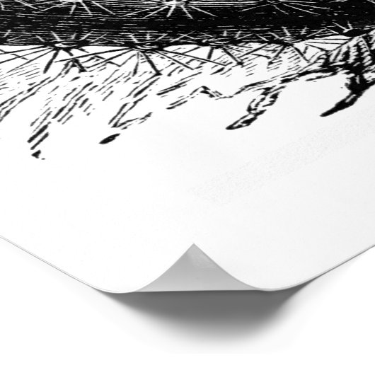 Poster Cactus de melon (Coin)