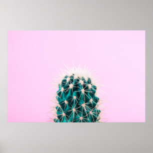 Poster Cactus de Prickley sur le rose