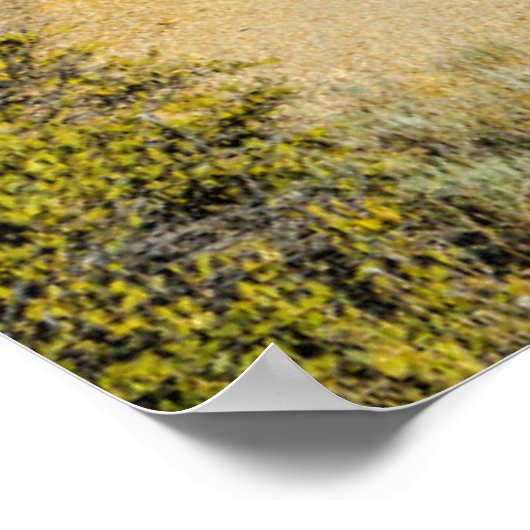 Poster Cactus debout (Coin)