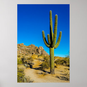 Poster Cactus debout