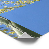 Poster Cactus Dove (Coin)