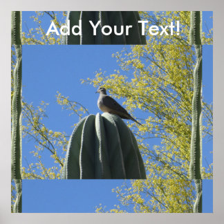 Poster Cactus Dove