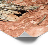 Poster Cactus du désert (Coin)